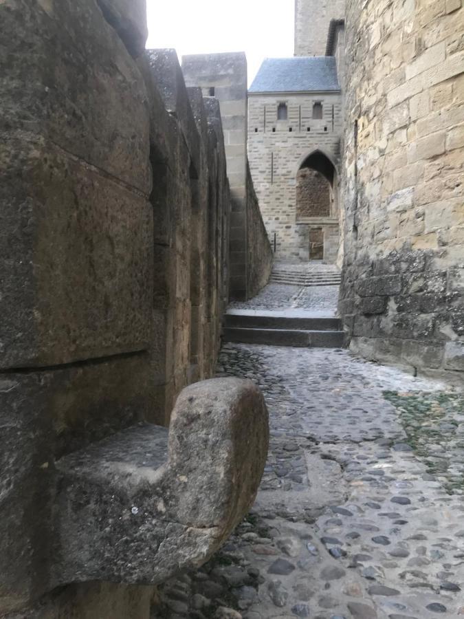 Le Clos Saint Michel การ์กาซอน ภายนอก รูปภาพ